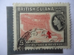 Stamps : Europe : United_Kingdom :  Colonias - Britis Guiana.