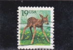 Stamps United States -  cervatillo