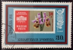 Stamps Hungary -  IBRA 73