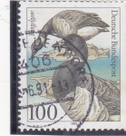 Stamps Germany -  aves-