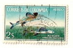 Stamps America - Colombia -  Correo aereo. Pez volador.