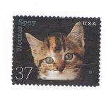 Stamps United States -  Gato Neuter Spay