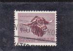 Sellos de Africa - Sudfrica -  bufalo africano