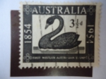 Sellos de Oceania - Australia -  Primer sello de Australia  Occidental 1854-1954.