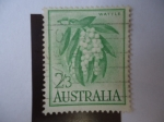 Sellos de Oceania - Australia -  Wattle.-1959.