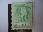 Stamps Australia -  Wattle.-1959.