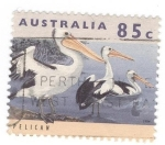 Stamps Australia -  Pelicanos