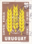 Stamps Uruguay -  campaña mundial contra el hambre