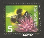 Sellos de America - Canad -  Bombus polaris