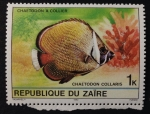 Stamps Democratic Republic of the Congo -  Pez tropical