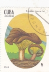 Sellos de America - Cuba -  setas