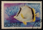 Stamps Guinea -  Pez mariposa de tres bandas