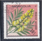 Stamps Mongolia -  flores-sophora alopecuroides