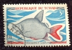 Stamps : Africa : Chad :  Peces de agua dulce nativo