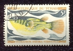 Stamps : Africa : Chad :  Peces de agua dulce nativo