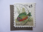 Stamps United States -  Pumpkinseed Sunfish