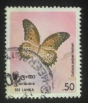 Stamps Sri Lanka -  Mariposa