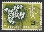 Stamps Belgium -  1193 - Europa Cept