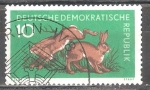 Sellos de Europa - Alemania -  Los animales del bosque,Liebre(DDR).