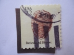 Stamps United States -  Reticulated Helmer-Caparazón. Scott/2118.