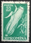 Stamps Romania -  Maiz