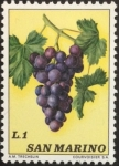 Stamps San Marino -  Uva