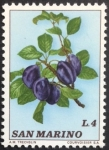 Stamps San Marino -  Ciruelas