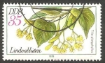 Stamps Germany -  1961 - Flor