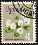 Sellos de Africa - Uganda -  Flora nativa