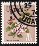 Stamps Uganda -  Flora nativa
