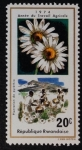 Stamps Rwanda -  Plantación de piretro
