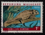 Stamps Madagascar -  Camaleón Campani