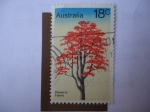 Sellos de Oceania - Australia -  Flora - Illawarra Flame