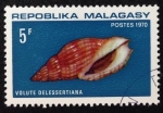 Stamps Madagascar -  Volute delessertiana