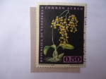 Stamps Venezuela -  Flora: Oncidium Bicolor Lindi.