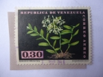 Sellos de America - Venezuela -  Flora: Epidendrum Difforme Jacq.