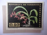 Sellos de America - Venezuela -  Flora: Catasetum Callosum Lindl.