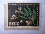 Stamps Venezuela -  Flora; Brassavola Nodosa Lindl.