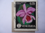 Stamps Venezuela -  Flora: Cattleya Mossiae Hook-Flor Nacional- Sociedad Venesolana de Ciencias Naturales.