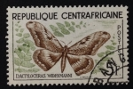 Sellos de Africa - Rep Centroafricana -  Dactylocera widemanni