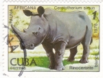 Stamps Cuba -  rinoceronte