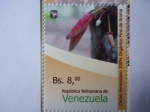 Stamps Venezuela -  República Bolívariana de Venezuela - Cacao Venezolano 100% Orgánico Fino Aroma - 2015.