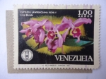 Stamps Venezuela -  Cattleya Lawrenceana Rchb.F. - Lirio Morado