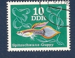 Stamps Germany -  PECES - Guppy de cola puntiaguda