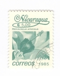 Sellos de America - Nicaragua -  Malvaviscus arboreus