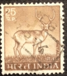 Stamps India -  Ciervo