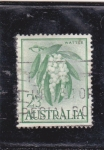 Stamps : Oceania : Australia :  fruta- wattle