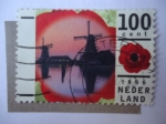 Sellos del Mundo : Europa : Holanda : Nederland 1996 - 100 cent.