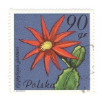 Stamps Poland -  Epiphyllopsis gaertneri