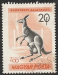 Stamps Hungary -  1413 - Canguro